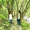 선암골생태유람길 이미지