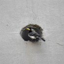 매일목욕탕 이미지