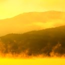 양수리 두물머리길 이미지