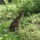 타운스빌 이미지