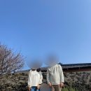 달고나민박 네이버블로그