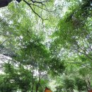 두레캠핑장 이미지