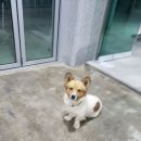 J스토리펜션 이미지
