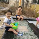 설악파인리조트 이미지