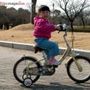 코렉스 자전거 이미지