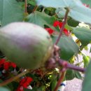 마룡초등학교 이미지