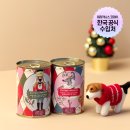 테라기획