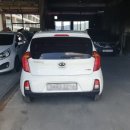 우리가축 인공수정 이미지