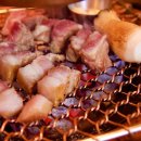 제주청년돼지 이미지