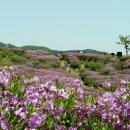 영남목장(제2목장) 이미지