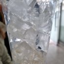 덕자네커피 이미지