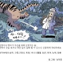 신등 이미지