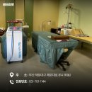 수앤수안마원 이미지