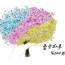 청주떡집떡미당 이미지