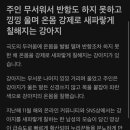 주인 무서워서 반항도 하지 못하고 낑낑 울며 온몸 강제로 새파랗게 칠해지는 강아지 이미지