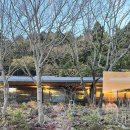 미미끄 | 내돈내산 제주도 겨울 3박4일 가족여행 1일차 / 제주 중문-미미끄, 오설록 티뮤지엄, 더본호텔, 금화덕