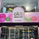 역전인형뽑기 이미지