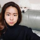 바른반려견센터 이미지