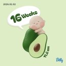 팔당원조칼제비현대시티몰 | 2026년 2월의 일상