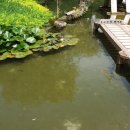 행복샘농장 이미지