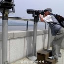 디카(dica)