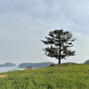 설리와카라반펜션 이미지