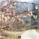 둘레길유랑 이미지