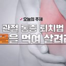 관절 통증 퇴치법, 연골을 먹여 살려라! 이미지