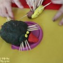 (주)자연의 신비 이미지