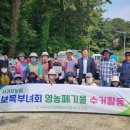 보목 이미지