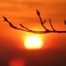 새벽노을 이미지