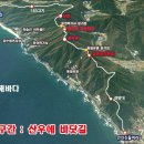 월호평 이미지