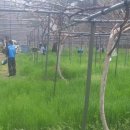 만선자원 이미지