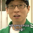 나라라펫 | 나트랑 좋트랑1