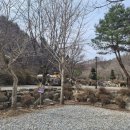 백운농협주유소 이미지