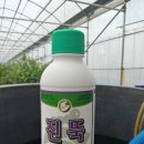 제이디피모터스 이미지