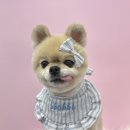 뽀삐샵(BBOBBI SHOP) 이미지