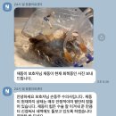넬 동물의료센터 | 넬동물의료센터 재동이 개심술 이야기