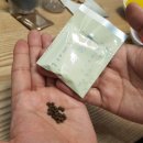 익산플러스약국 이미지