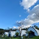 타이어스태프 | 콘티넨탈 타이어 SUV 캠핑데이 @ 세종 다온숲 글램핑장 = 찌노닷컴