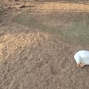 복덕농장 이미지