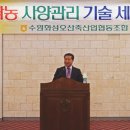 화성양돈 이미지