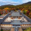 단풍 - 관악구 신림동길 25 | 단풍