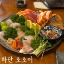 부산 하단역 술집 사시미 맛집 하단 토토이