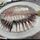 싱싱와글와글 이미지