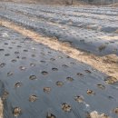 김종군농장 이미지