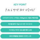 디자인 식스나인