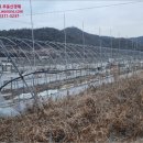 신계리/상신 이미지