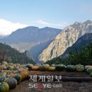 여행천국 - 창원시 마산합포구 월영동11길 16 | 여행천국