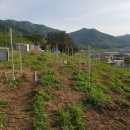 남산 태양광발전소 이미지